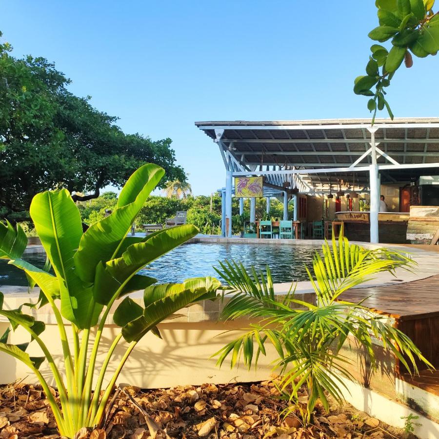 Convento Arcadia Bed & Breakfast Atins Exterior foto
